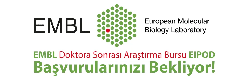 https://tubitak.gov.tr/sites/default/files/embl07_ana.jpg https://tubitak.gov.tr/sites/default/files/embl07_ana.jpg
