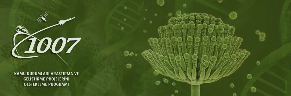 https://tubitak.gov.tr/sites/default/files/mitotoksin_dzl_large_0.jpg https://tubitak.gov.tr/sites/default/files/mitotoksin_dzl_large_0.jpg