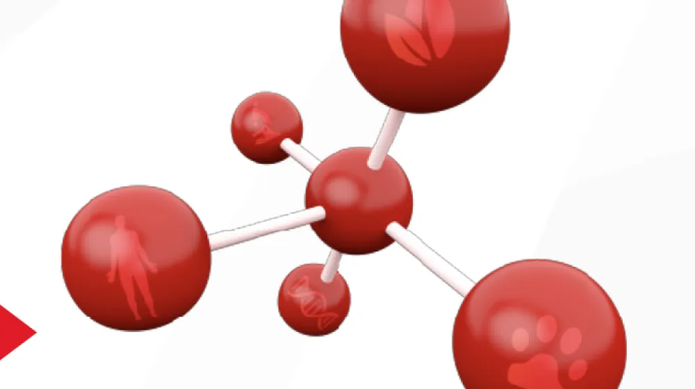 Biyoteknoloji İnovasyon Yarışması’nın Finalist Takımları Açıklandı!