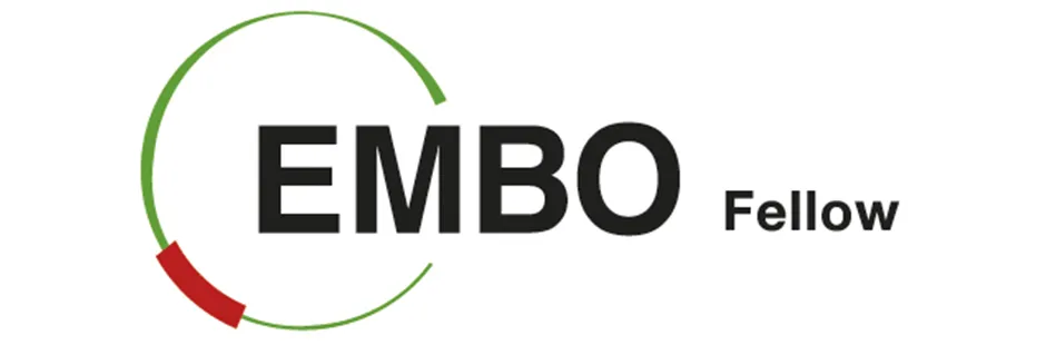 https://tubitak.gov.tr/sites/default/files/ana-embo_2.jpg https://tubitak.gov.tr/sites/default/files/ana-embo_2.jpg