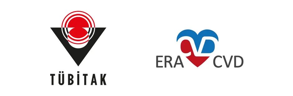 https://tubitak.gov.tr/sites/default/files/ana-era-cvd_0.jpg https://tubitak.gov.tr/sites/default/files/ana-era-cvd_0.jpg