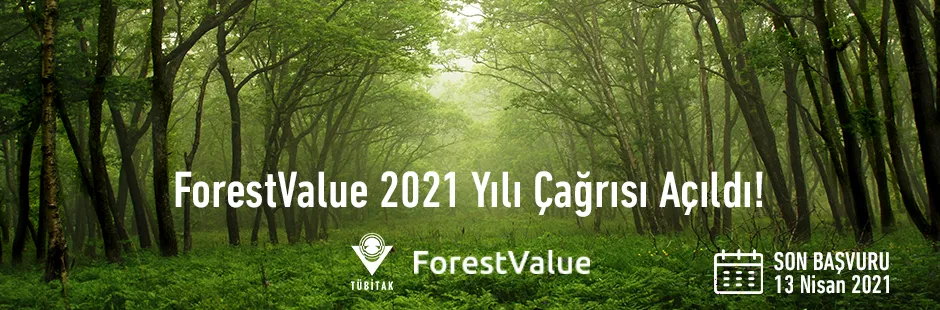 https://tubitak.gov.tr/sites/default/files/anagorsel_forest_value.jpg https://tubitak.gov.tr/sites/default/files/anagorsel_forest_value.jpg