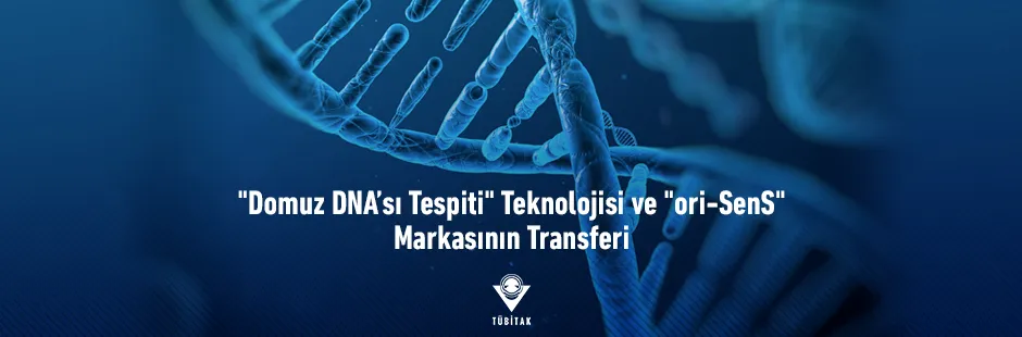 https://tubitak.gov.tr/sites/default/files/domuz-dna-ve-ori-sens_940x310_ana-gorsel_040321.jpg https://tubitak.gov.tr/sites/default/files/domuz-dna-ve-ori-sens_940x310_ana-gorsel_040321.jpg