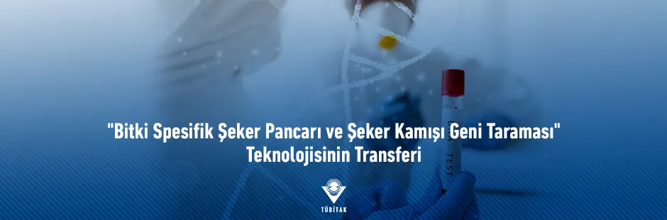 https://tubitak.gov.tr/sites/default/files/seker-pancari-ve-seker-kamisi-geni_940x310_ana-gorsel_040321.jpg https://tubitak.gov.tr/sites/default/files/seker-pancari-ve-seker-kamisi-geni_940x310_ana-gorsel_040321.jpg