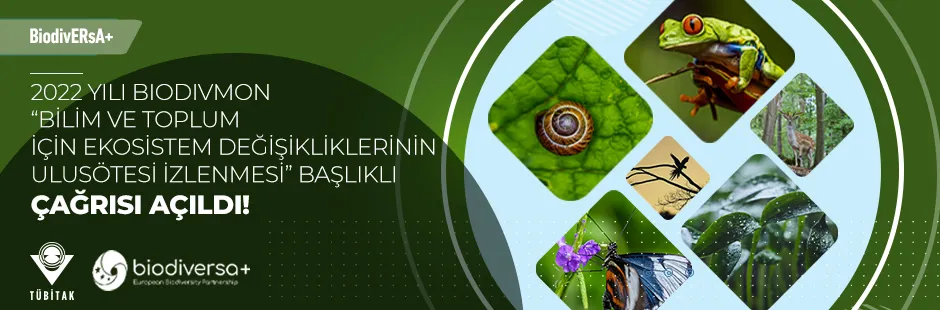 https://tubitak.gov.tr/sites/default/files/tbit_vsl_22_0447_eylul_cagri_ana_gorsel_230922.jpg https://tubitak.gov.tr/sites/default/files/tbit_vsl_22_0447_eylul_cagri_ana_gorsel_230922.jpg